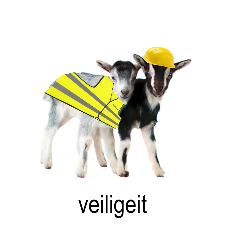 veilig en gezond werken